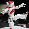 【LAST DAY SALE】Gesture Sensing Smart Robot