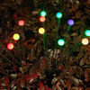 Solar Powered Firefly Lights | Make your outdoor space glow at night