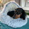 CozyCove - Premium Pet Bed